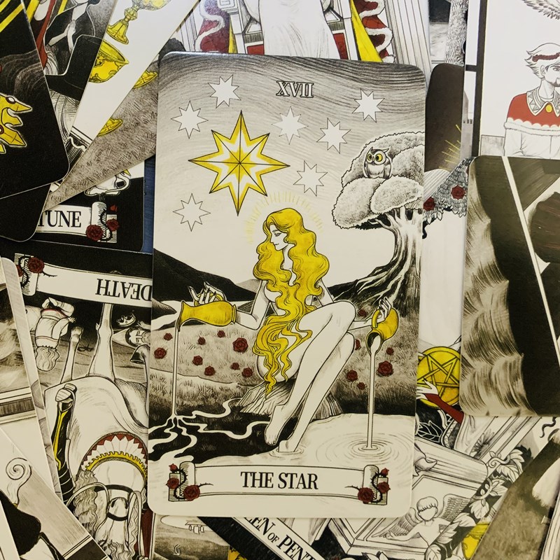 Secret Mirror Tarot cards 80 d - Board Game Life recension och pris