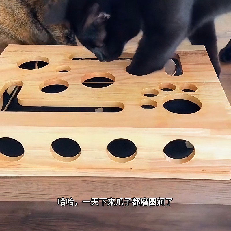 Royi Store Claw Labyrinth Cat  - Board Game Store recension och pris